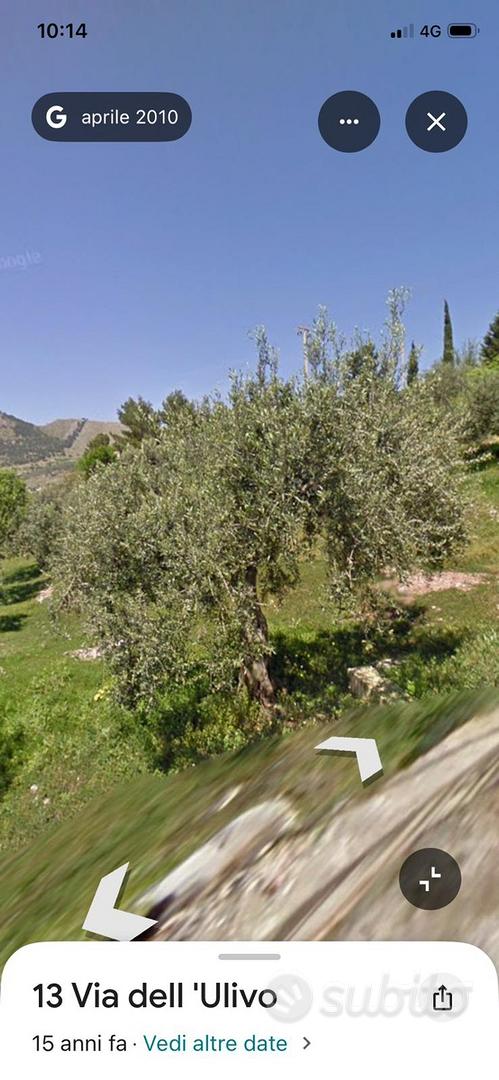 Terreno di uliveto - Vista 3