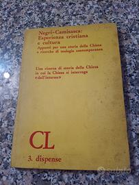 Esperienza cristiana e cultura Negri Camisasca