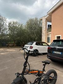 Bicicletta elettrica (E-BIKE)