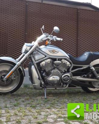 HARLEY-DAVIDSON V-Rod VRSCA anno in ottime con