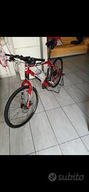 bici montainbike cannondale 