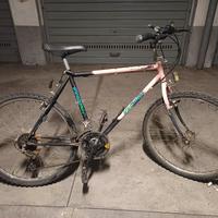 Bicicletta economica per stazione o università