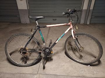 Bicicletta economica per stazione o università