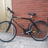 Mountain Bike Bottecchia 26"