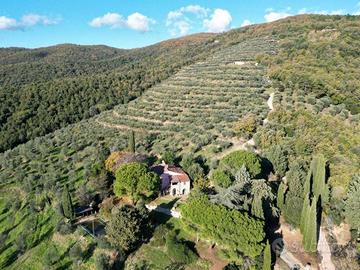 Rustico / Casale di 400 m² con più di 5 locali e b