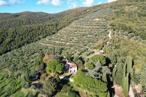 Rustico / Casale di 400 m² con più di 5 locali e b