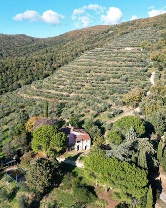 Rustico / Casale di 400 m² con più di 5 locali e b