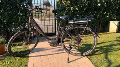 E-Bike Olympia Energy Max