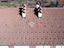 Immagine 6