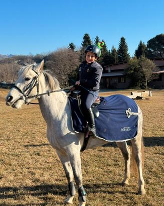 Super Pony prezzo interessante