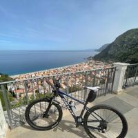 Bici mtb