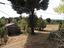 Immagine 8