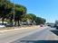 Immagine 25