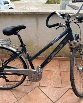 Bicicletta da trekking
