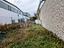 Immagine 11