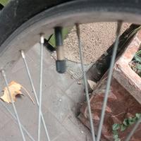 Bicicletta pieghevole