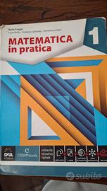 libro matematica in pratica 1