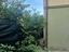 Immagine 26