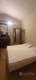 Bilocale Arredato Parco Dora