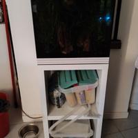 acquario ASKOLL PURE M
