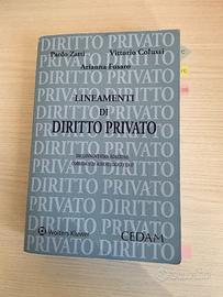 Libro lineamenti di diritto privato