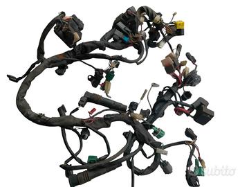 Cablaggio Suzuki Burgman 650