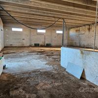 CAPANNONE TERRENO e Villa con piscina