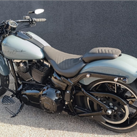 Harley-davidson softail breackout