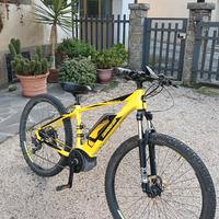 Bici Mountain ebike  Lombardo