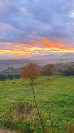 Terreno edificabile Colonnella (TE)