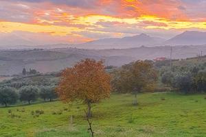 Terreno edificabile Colonnella (TE)