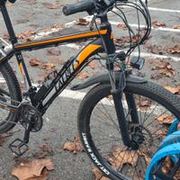 biciclettata elettrica 350w 