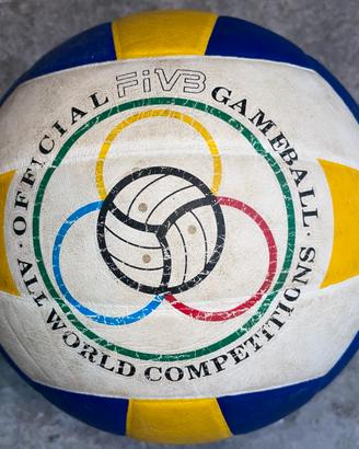 Pallone ufficiale FIVB anni 2000