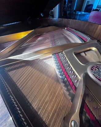 Pianoforte Petrof 1/4 di coda