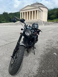 Mutt Mastiff 250 (scrambler/cafe racer)