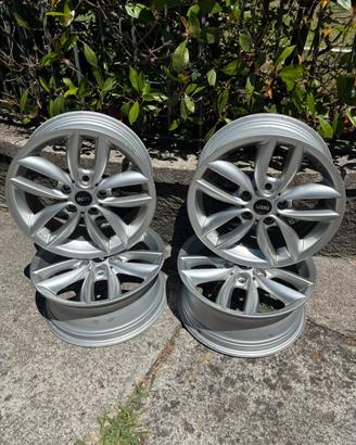 Cerchioni 17” Mini Countryman