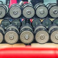 Manubri palestra panatta