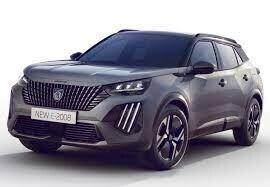 Musata porte Peugeot 2008 2018/2025