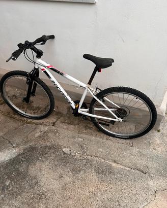 Bici da ragazzo
