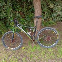 Cannondale Scalpel full carbon