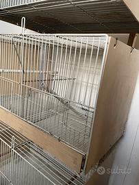 Gabbia per uccellini