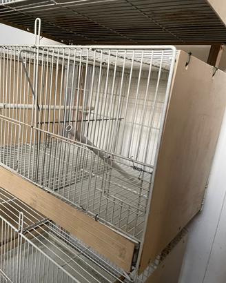 Gabbia per uccellini