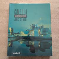Libro Calcolo funzioni di più variabili 