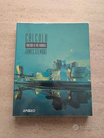 Libro Calcolo funzioni di più variabili 