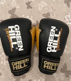 Guantoni Boxe Green Hill 14 oz