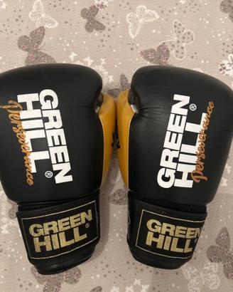 Guantoni Boxe Green Hill 14 oz