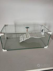 Acquario per tartarughe