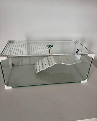 Acquario per tartarughe