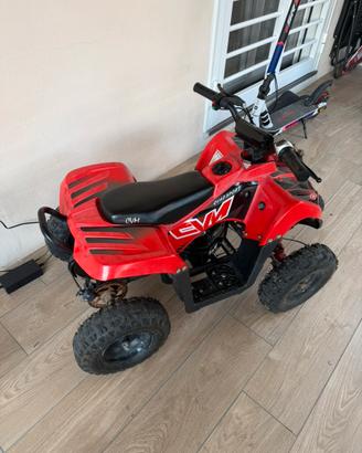 Quad elettrico