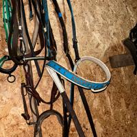 Avcessori per cavalli